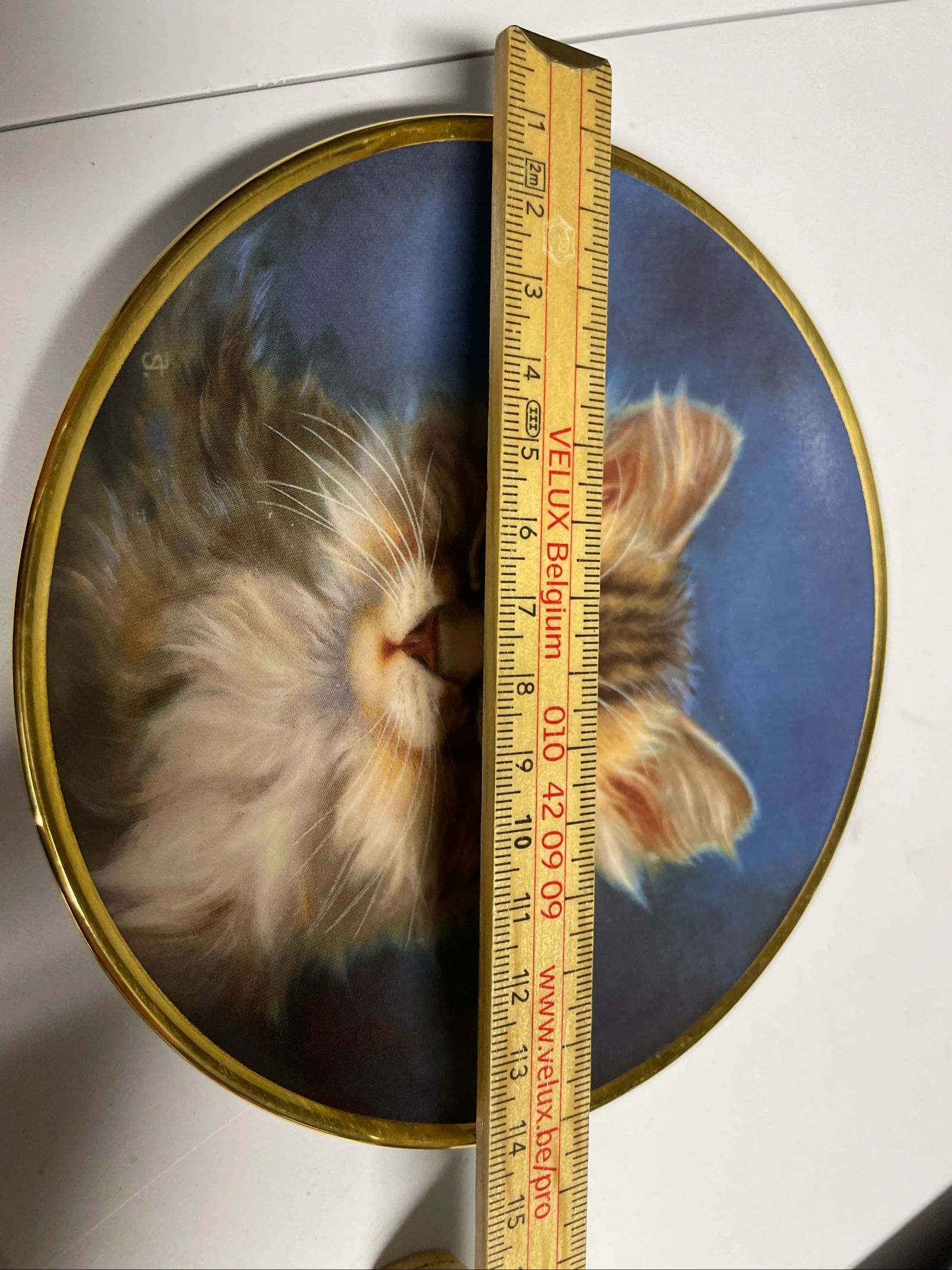 Small cat collection plate / bradford – photo 4